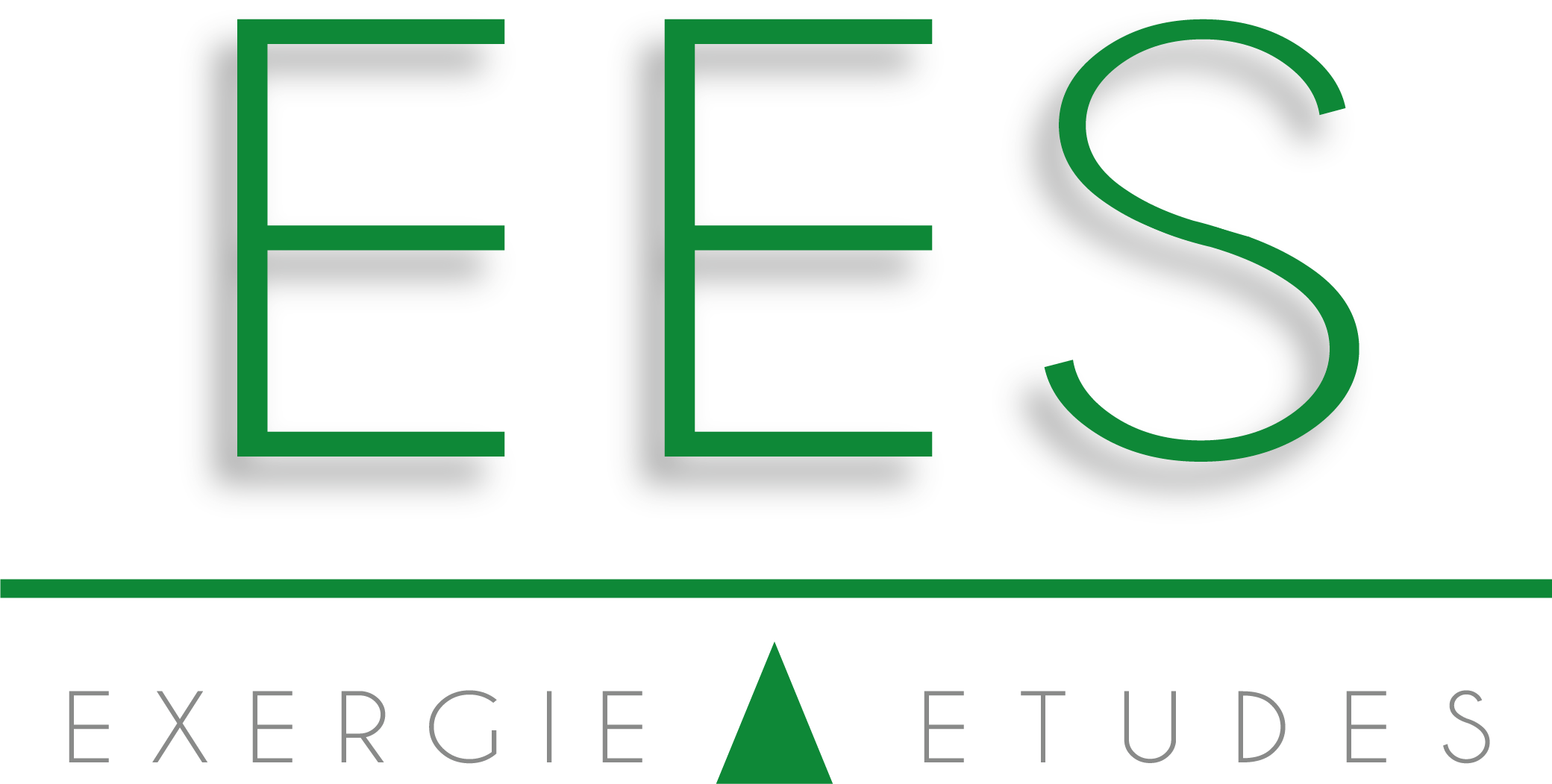 logo EES Exergie Etudes